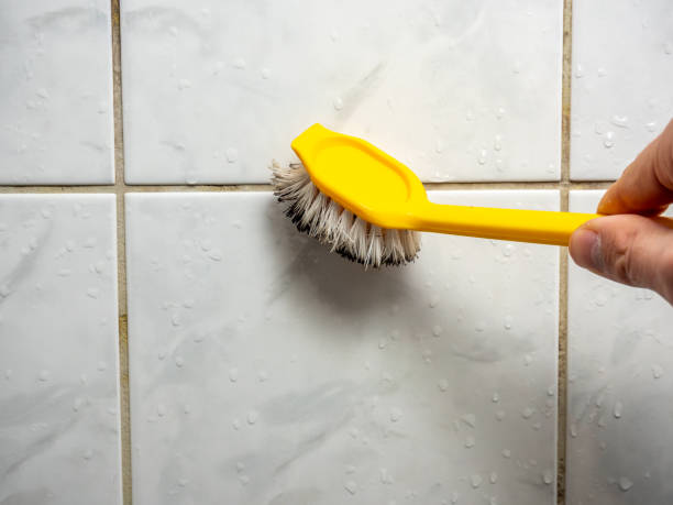Professional Mold Remediation in Montura, FL